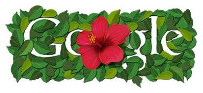 google-bungaraya