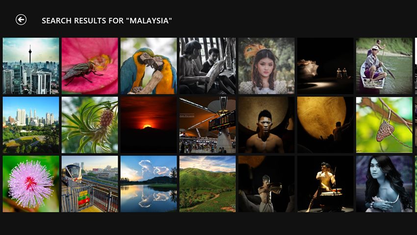 500px Windows 8