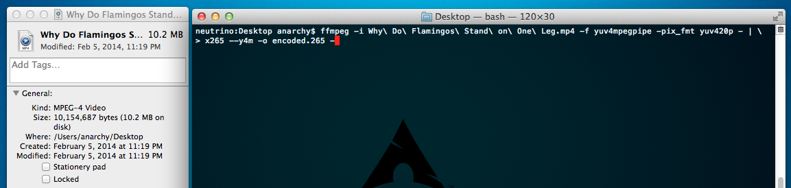 piping ffmpeg to x265