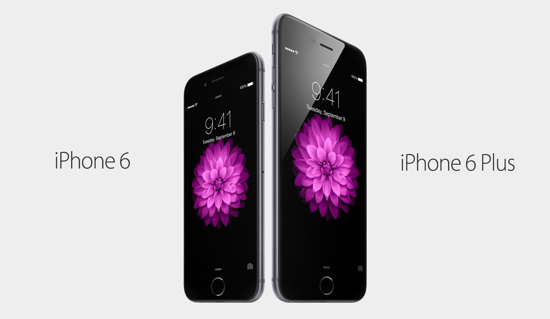 Apple iPhone 6