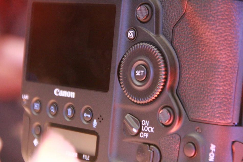 Canon EOS-1D X Mark II - IMG_8529