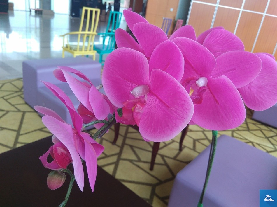 Xiaomi Redmi Note 3IMG_20160413_101130-007