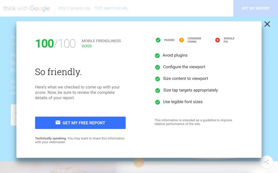 test-my-site-report