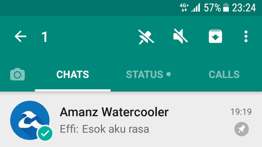 WhatsApp Pin Chat