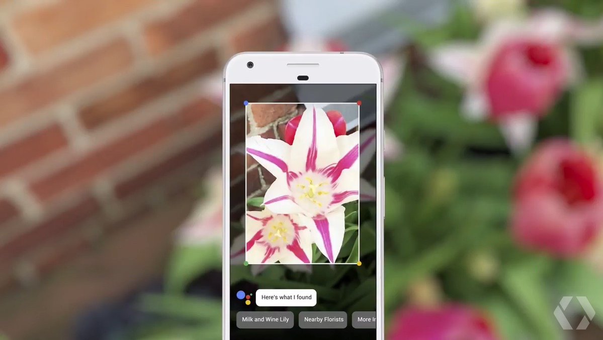 Google Lens