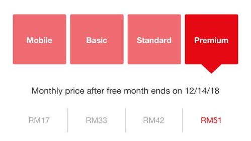 Netflix RM17 Sebulan