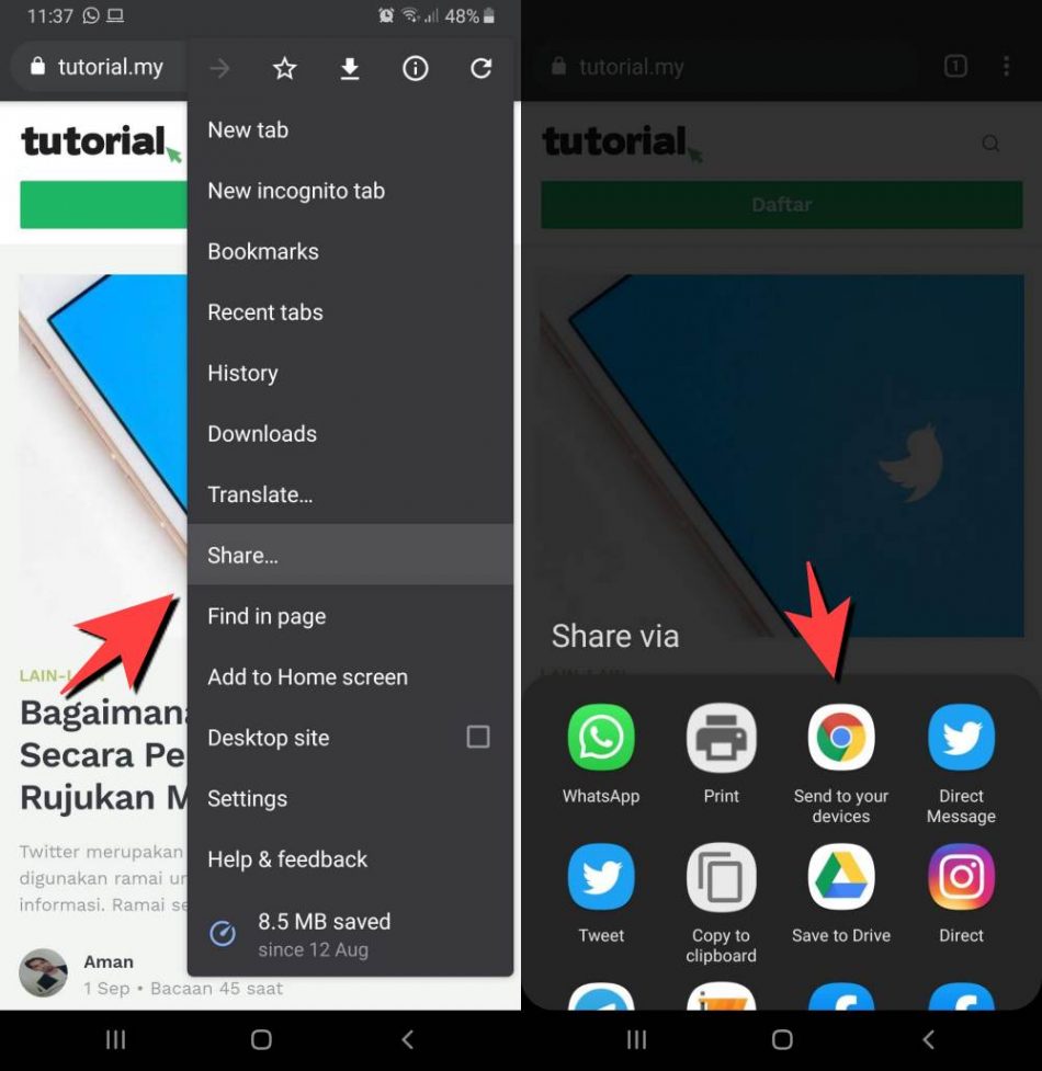 Google Chrome Share