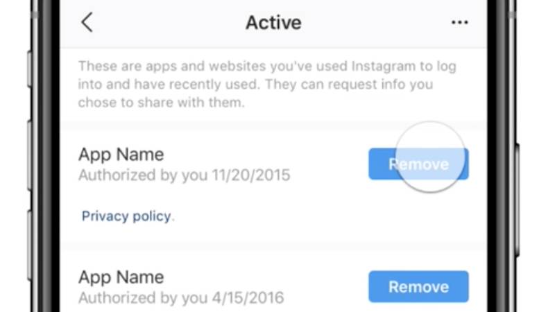 Instagram Revoke