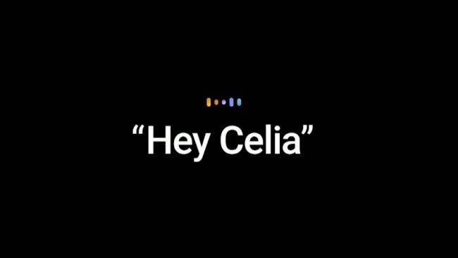 Celia
