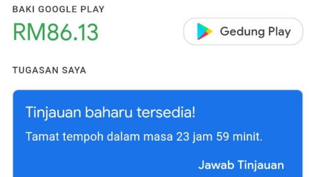Google Play Opinion Rewards