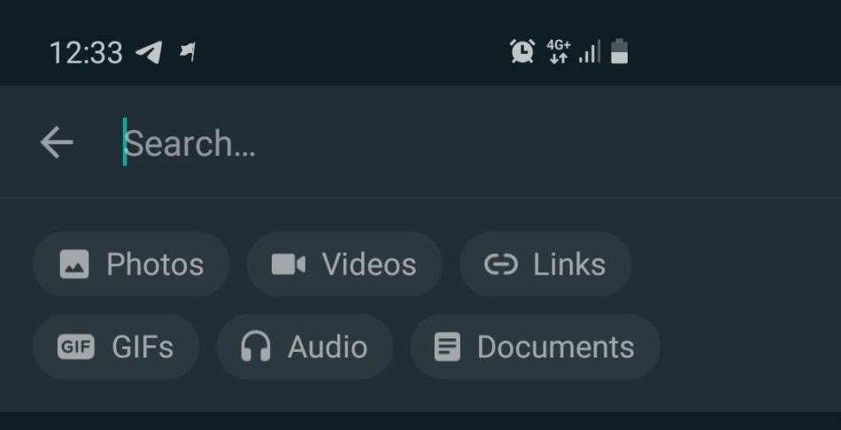 WhatsApp Search