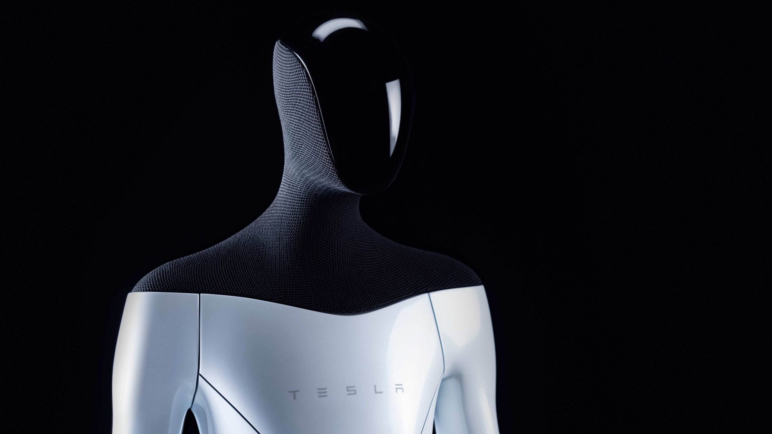 Tesla Bots