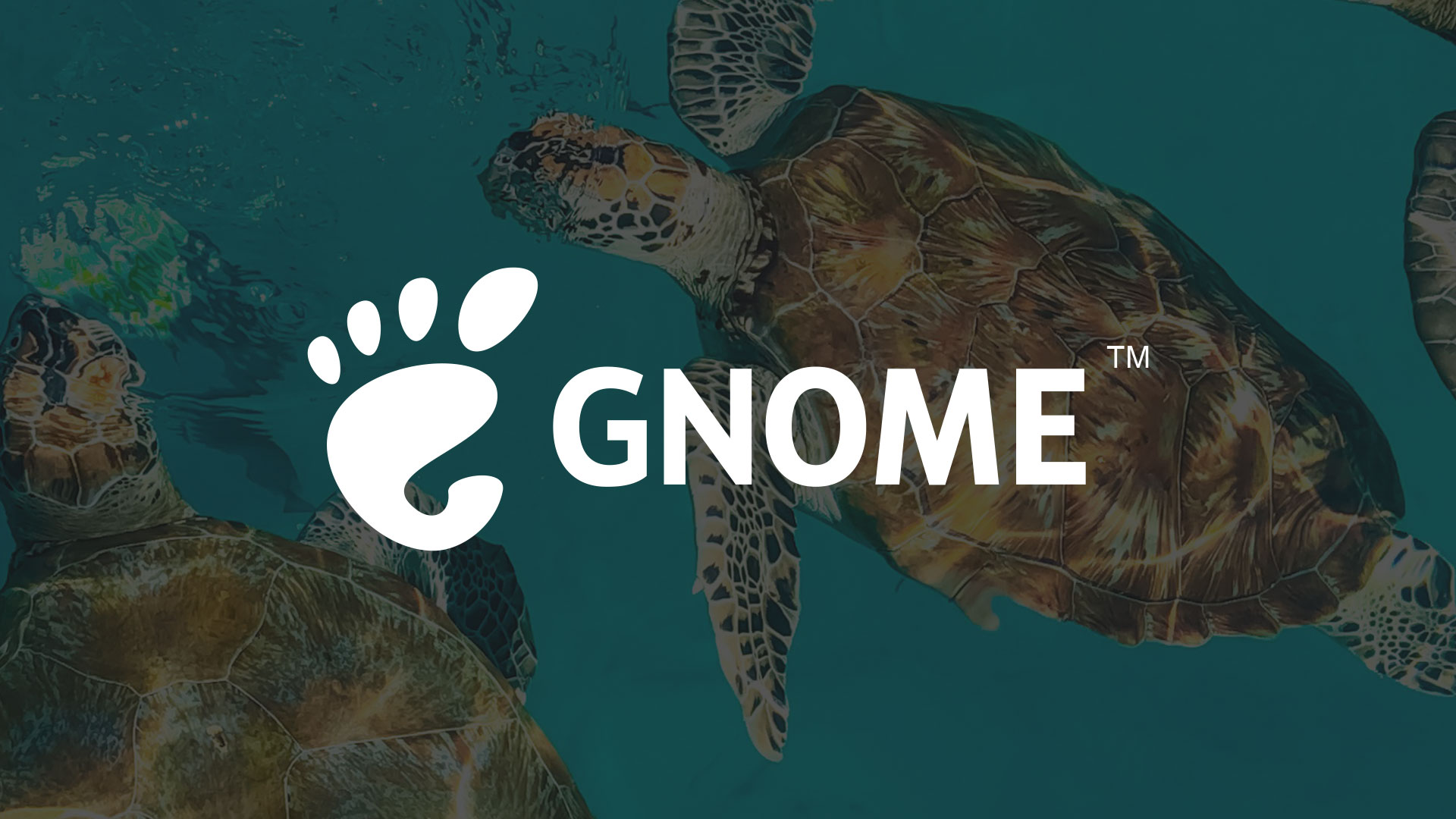 GNOME 52 Akan Guna Nama Kod “Terengganu” – Dijadualkan Pelancaran Pada Mac 2027